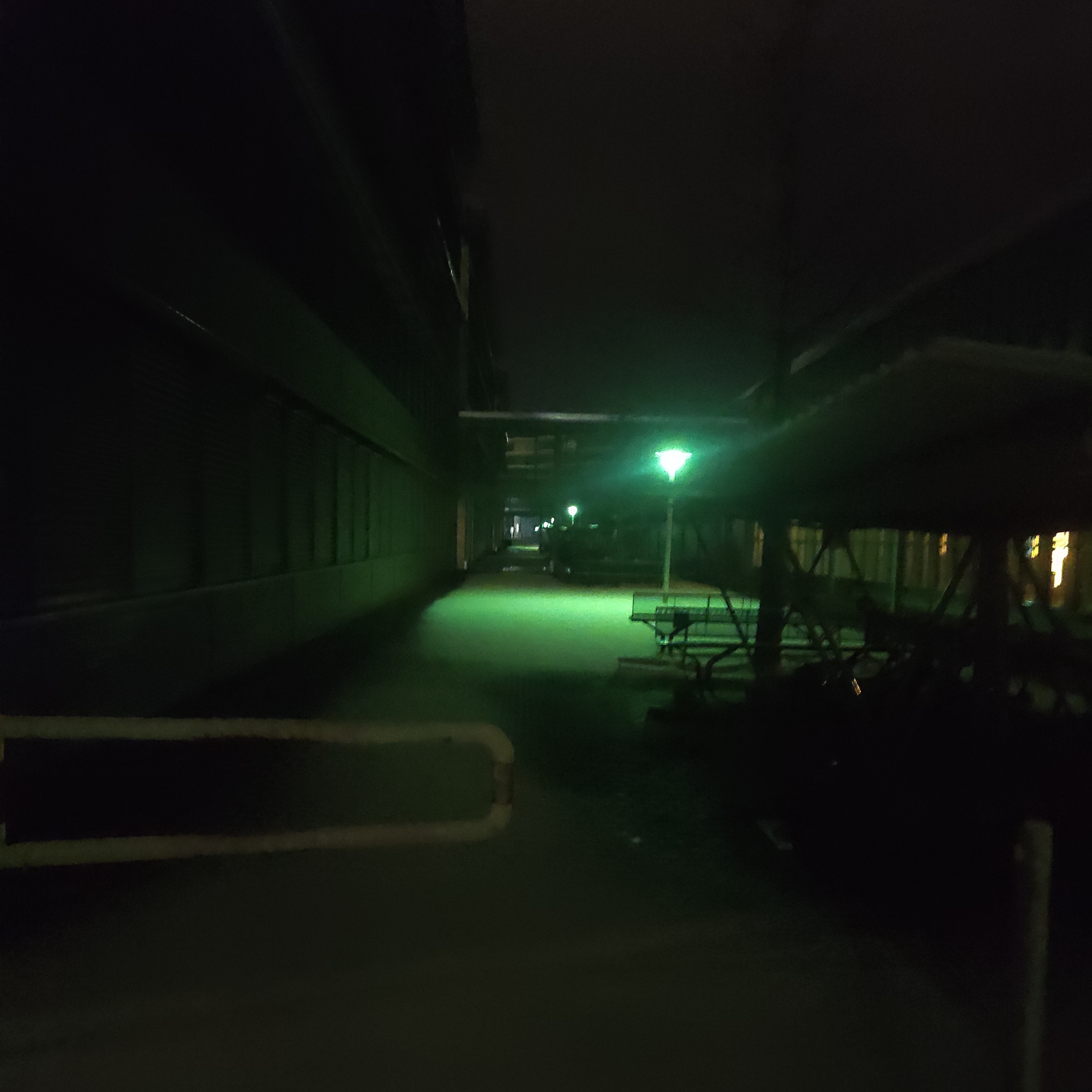 Not great not terrible